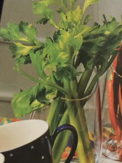 Celery Vase featured in Bloomingdale's catalog